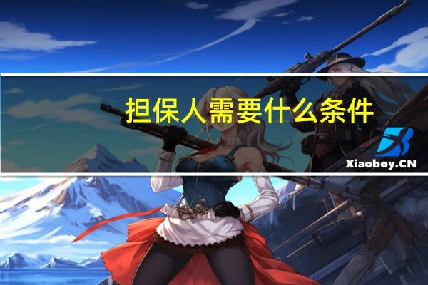 担保人需要什么条件