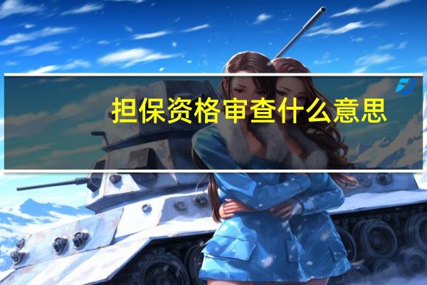 担保资格审查什么意思