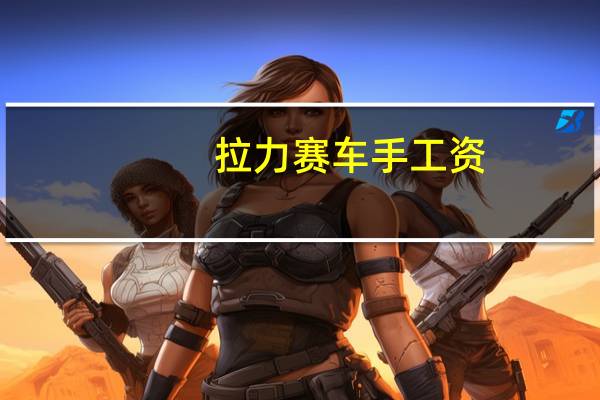 拉力赛车手工资