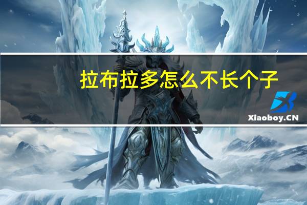 拉布拉多怎么不长个子