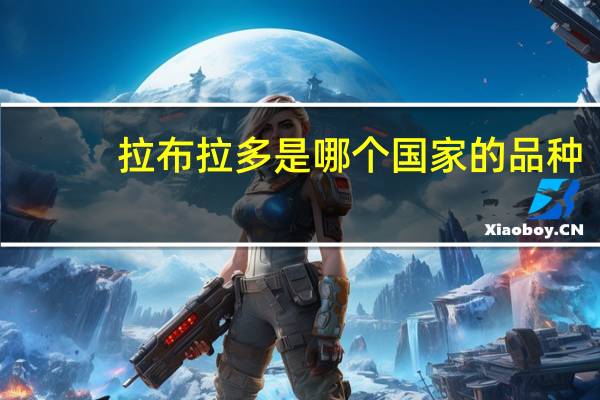 拉布拉多是哪个国家的品种