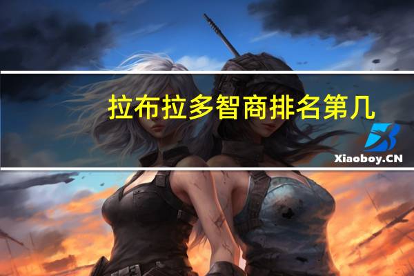 拉布拉多智商排名第几