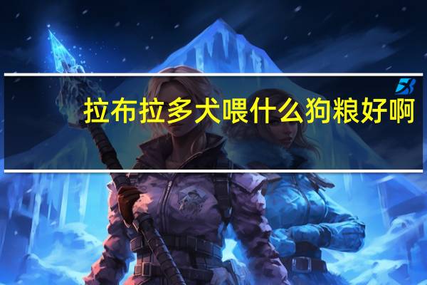 拉布拉多犬喂什么狗粮好啊