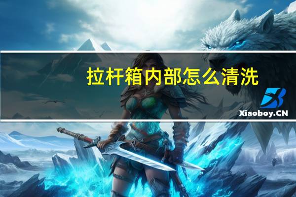 拉杆箱内部怎么清洗