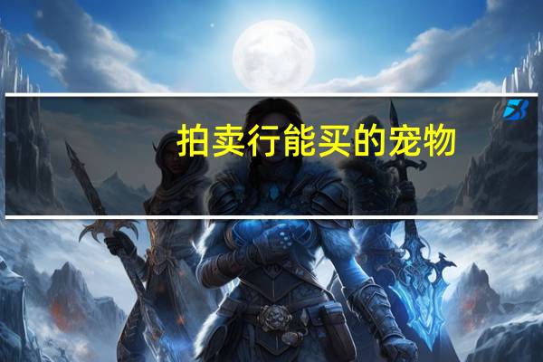 拍卖行能买的宠物