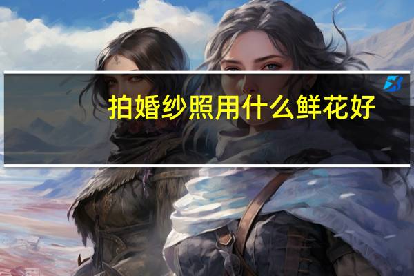 拍婚纱照用什么鲜花好