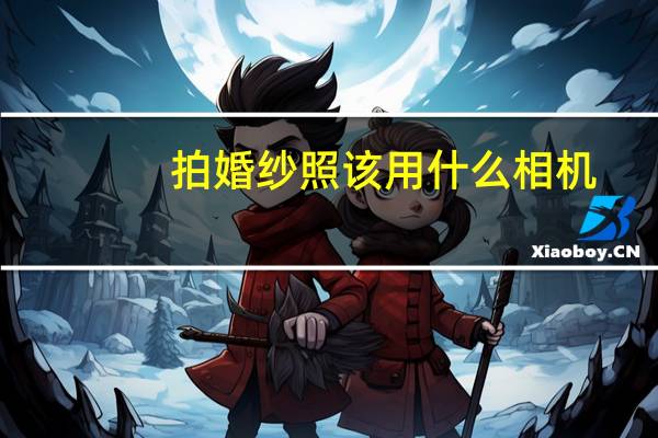 拍婚纱照该用什么相机
