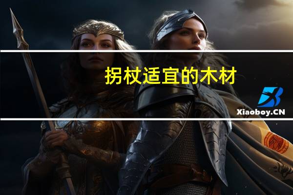 拐杖适宜的木材