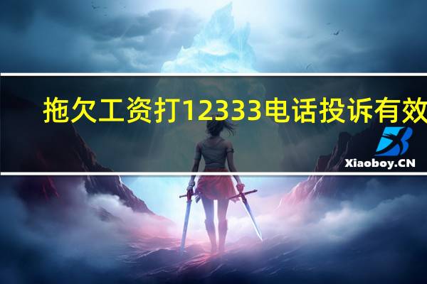 拖欠工资打12333电话投诉有效吗