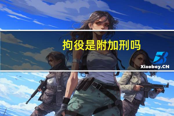 拘役是附加刑吗