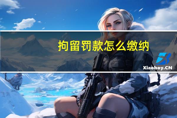 拘留罚款怎么缴纳