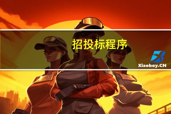 招投标程序