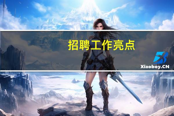 招聘工作亮点