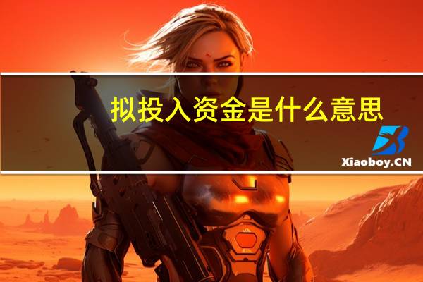 拟投入资金是什么意思