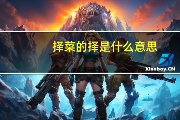 择菜的择是什么意思