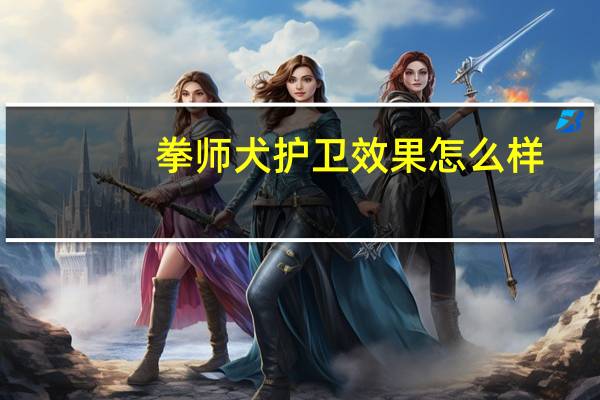 拳师犬护卫效果怎么样