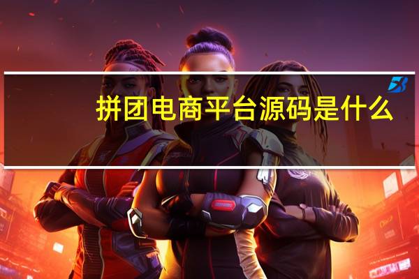 拼团电商平台源码是什么