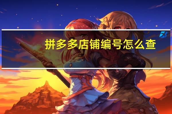 拼多多店铺编号怎么查