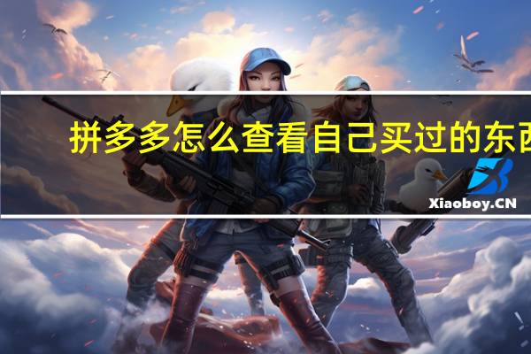 拼多多怎么查看自己买过的东西