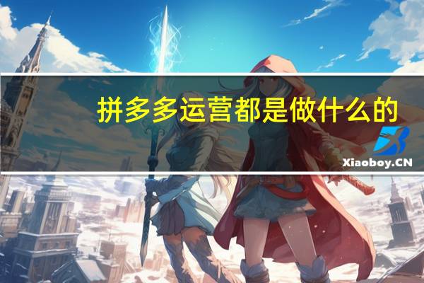 拼多多运营都是做什么的