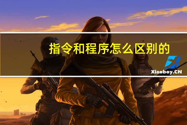 指令和程序怎么区别的