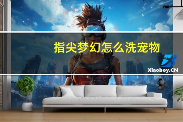 指尖梦幻怎么洗宠物