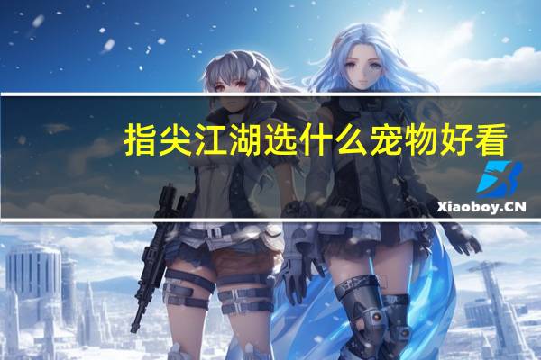 指尖江湖选什么宠物好看
