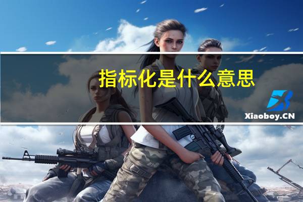 指标化是什么意思