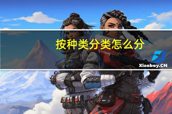 按种类分类怎么分