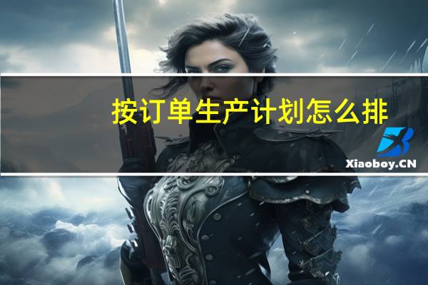 按订单生产计划怎么排