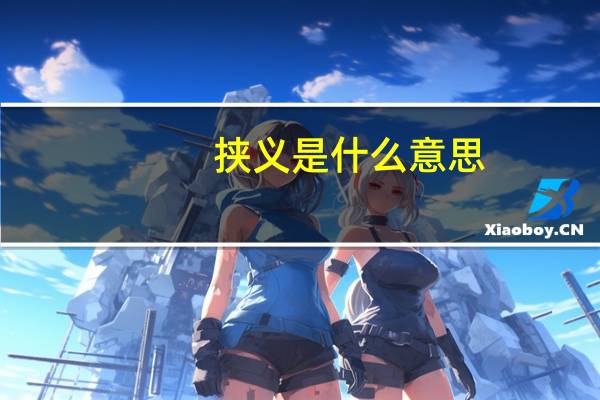 挟义是什么意思