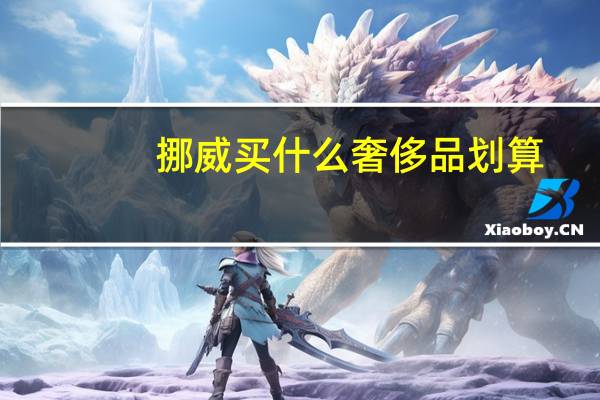 挪威买什么奢侈品划算