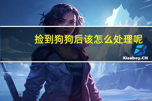 捡到狗狗后该怎么处理呢