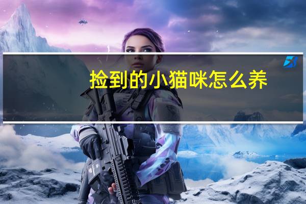 捡到的小猫咪怎么养