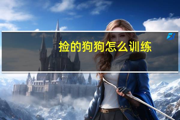 捡的狗狗怎么训练