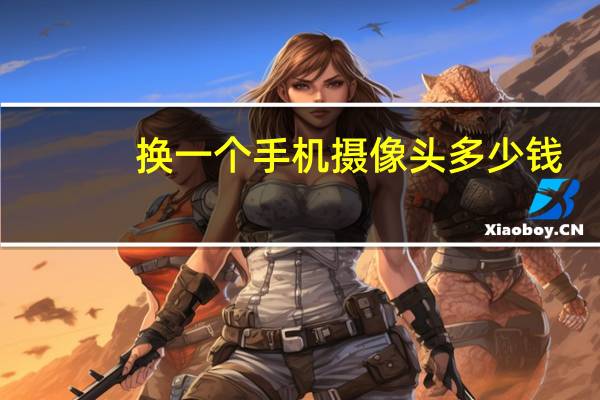 换一个手机摄像头多少钱