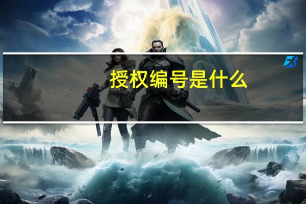 授权编号是什么