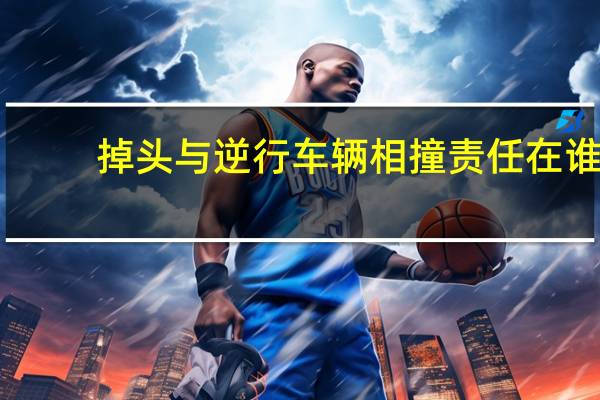 掉头与逆行车辆相撞责任在谁