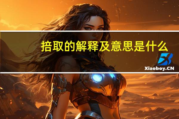 掊取的解释及意思是什么