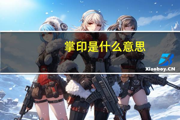 掌印是什么意思