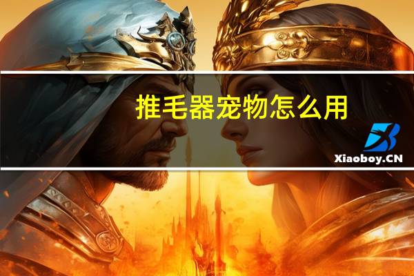 推毛器宠物怎么用