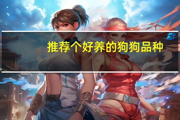 推荐个好养的狗狗品种