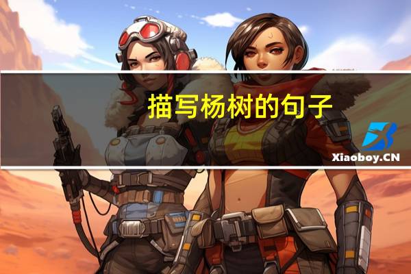描写杨树的句子