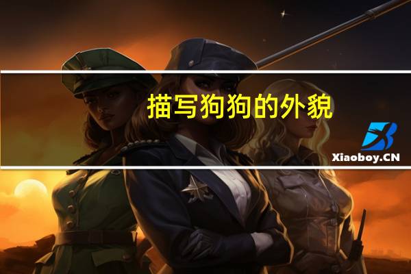 描写狗狗的外貌