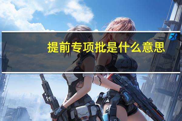 提前专项批是什么意思