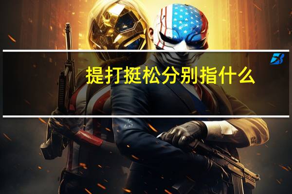 提打挺松分别指什么