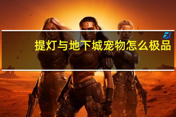 提灯与地下城宠物怎么极品