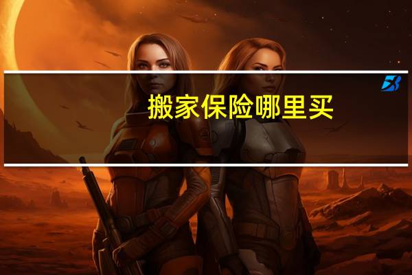 搬家保险哪里买