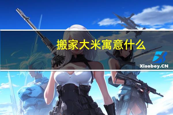 搬家大米寓意什么