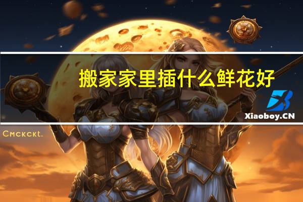 搬家家里插什么鲜花好